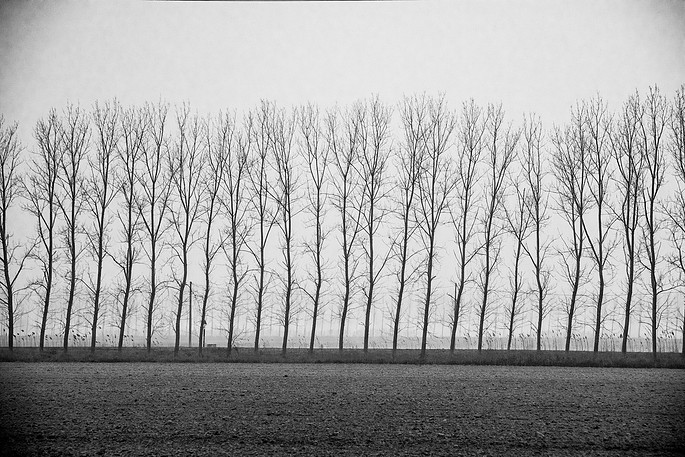 Photograph by Mark Turney