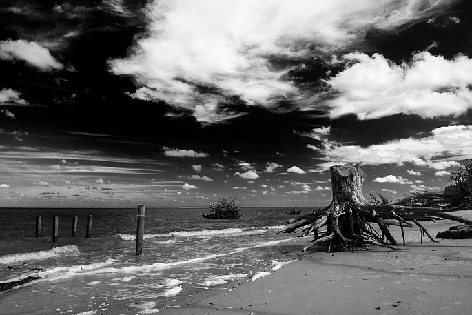 Photograph by Mark Turney