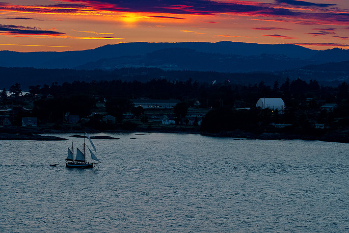 Photograph by Mark Turney