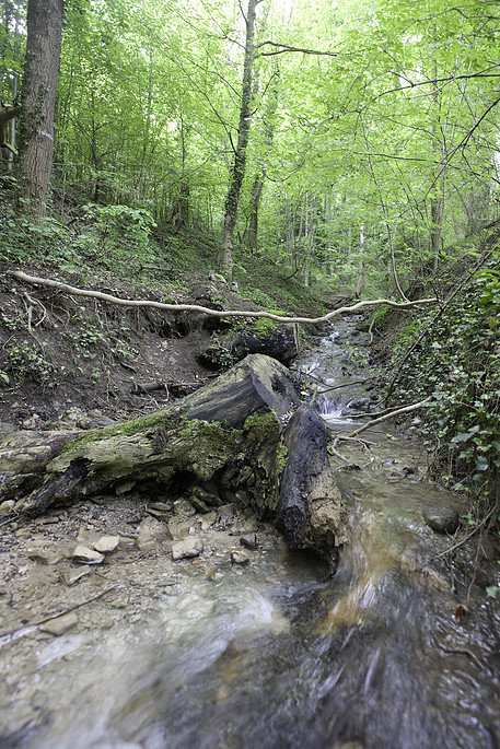 Photograph by Mark Turney