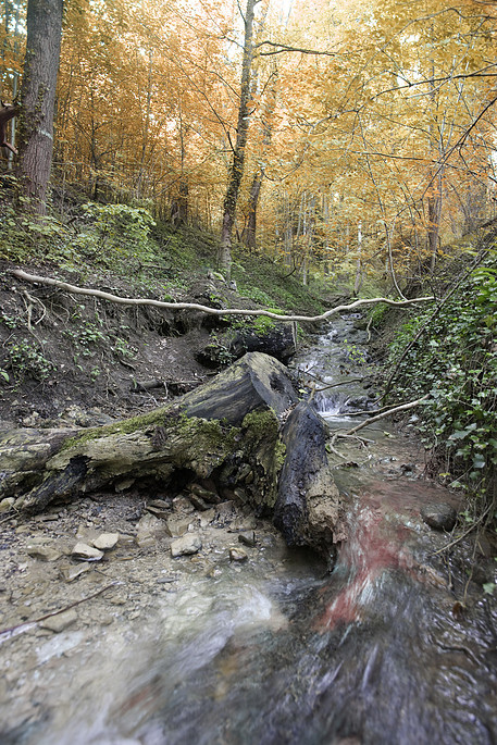 Photograph by Mark Turney