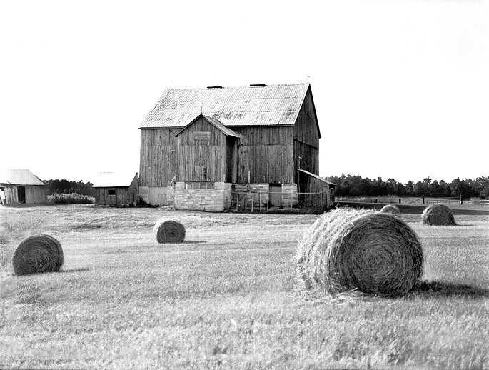Photograph by Mark Turney