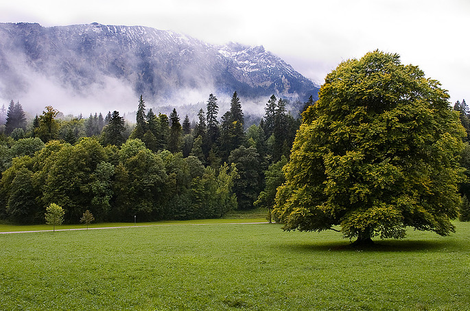 Bavaria