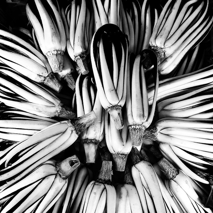 Photograph by Mark Turney