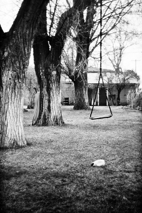 All Photographs-photos