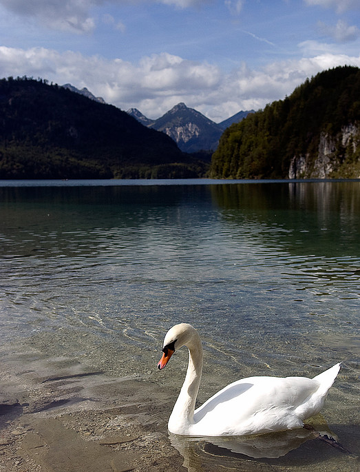 Bavaria