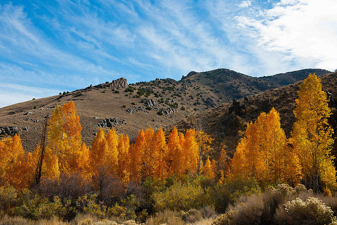Photograph by Mark Turney