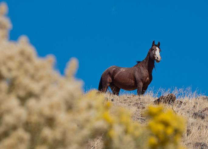 Photograph by Mark Turney