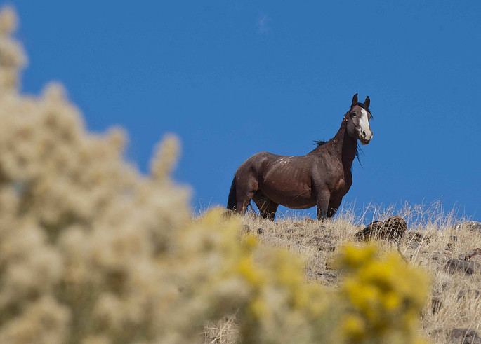 Photograph by Mark Turney