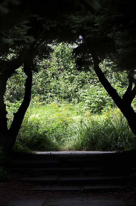 Photograph by Mark Turney