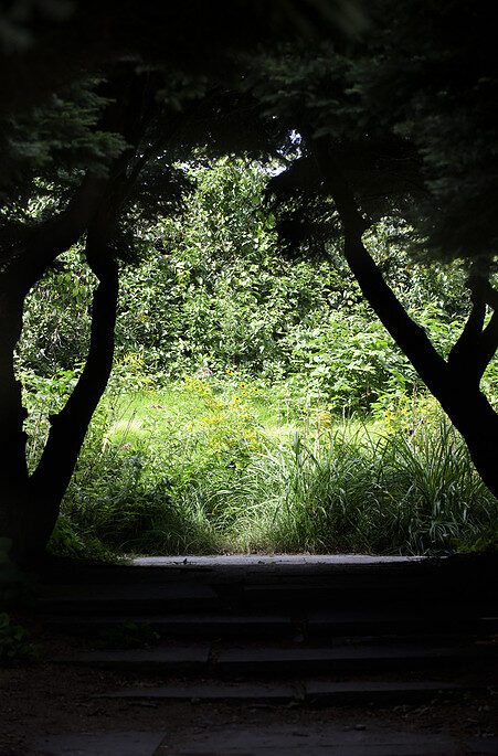 Photograph by Mark Turney